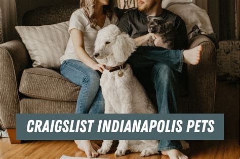 craigslist indianapolis pets|pomchi adoptable dogs indianapolis.